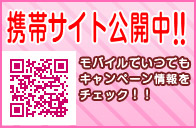 千葉風俗ガイド携帯サイト